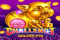 Buy Golden Pig